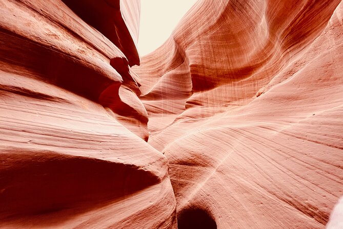 Lower Antelope Canyon and Horseshoe Bend Day Tour With Lunch - Highlights of the Tour