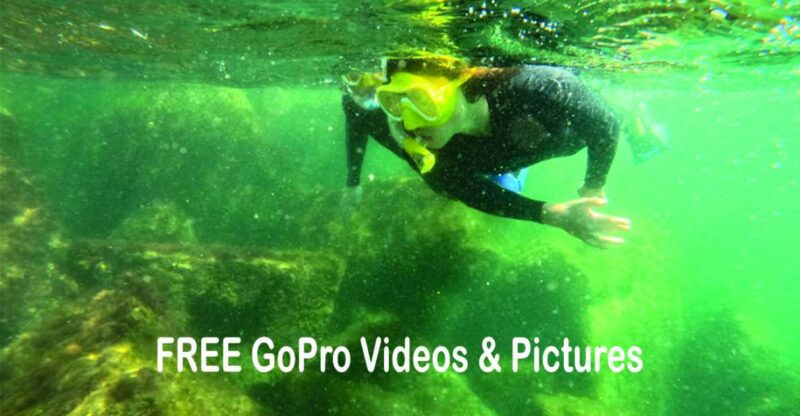 Lower Grand Lagoon: Panama City Beach Guided Snorkeling Tour - Itinerary and Experience
