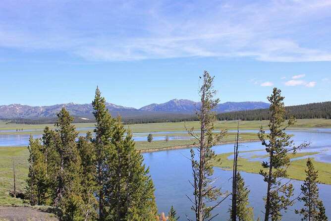 Lower Loop Yellowstone Wildlife Scenic - Jackson Hole Day Tour | WY - Scenic Jackson Hole Landscape