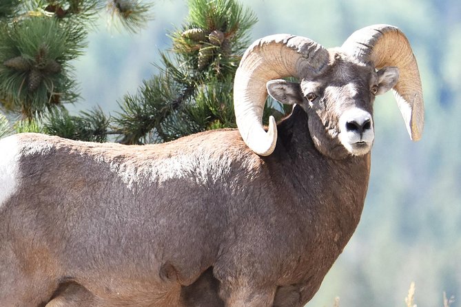 Lower Valley Tour RMNP - Itinerary and Experience