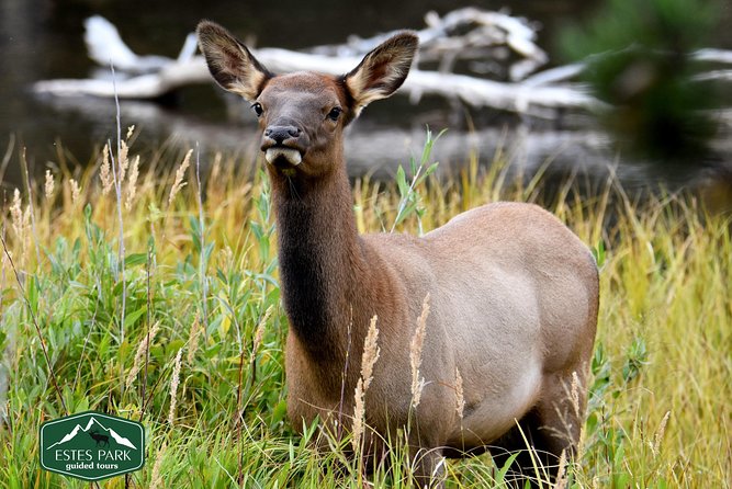 Lower Valley Tour RMNP - Booking Information
