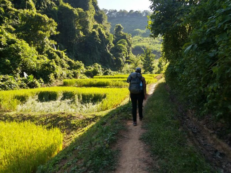 Luang Prabang: 3-Day Cultural Remote Trek With Homestay - Key Points
