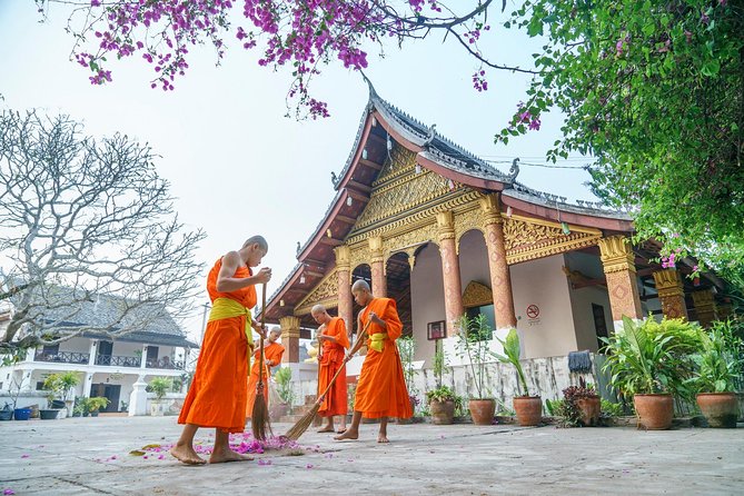 Luang Prabang City & Kuangsi Waterfall & Bear Rescue Day Tour - Key Points