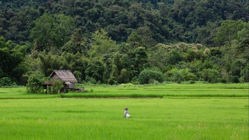 Luang Prabang: Countryside Mountain Bike Tour With Lunch - Experience Highlights