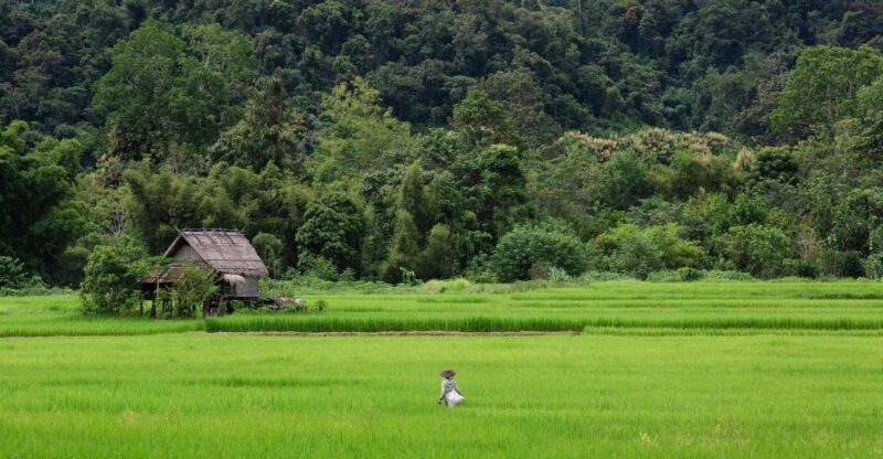 Luang Prabang: Countryside Mountain Bike Tour With Lunch - Booking and Logistics