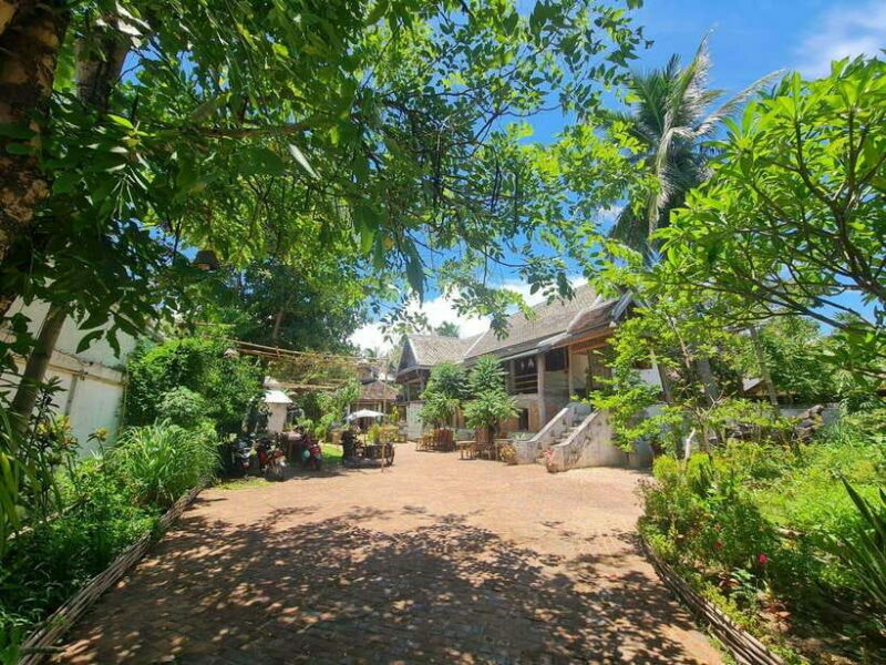 Luang Prabang: Craft Your Own Aroma Candle in Heritage Home - Learning about Lao Tea and Culture