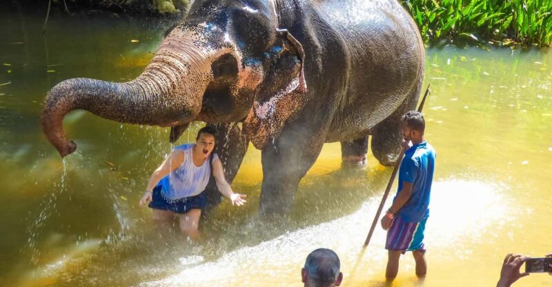 Luang Prabang Elepphant Keeper Bathe Option Kuangsi Tour - Itinerary Highlights