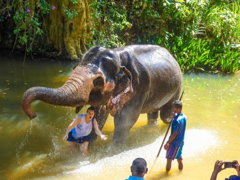 Luang Prabang Elepphant Keeper Bathe Option Kuangsi Tour - Inclusion and Additional Costs