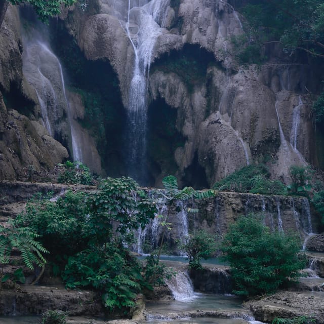 Luang Prabang Elepphant Keeper Bathe Option Kuangsi Tour - Customer Reviews
