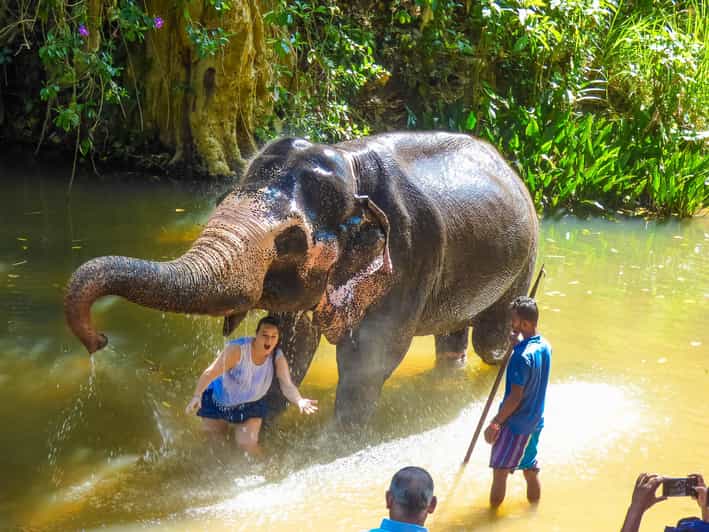 Luang Prabang Elepphant Keeper Bathe Option Kuangsi Tour - Itinerary Highlights