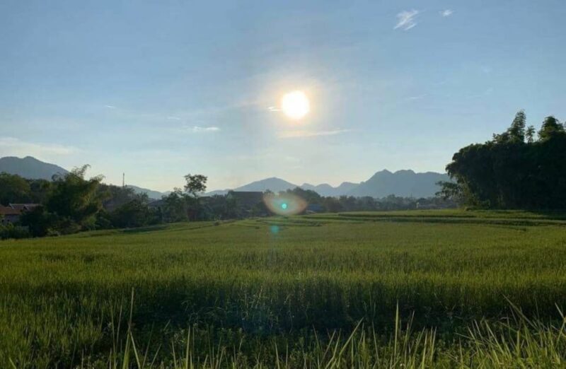 Luang Prabang: Evening Cooking Class & Local Baci Ceremony - Pricing and Booking