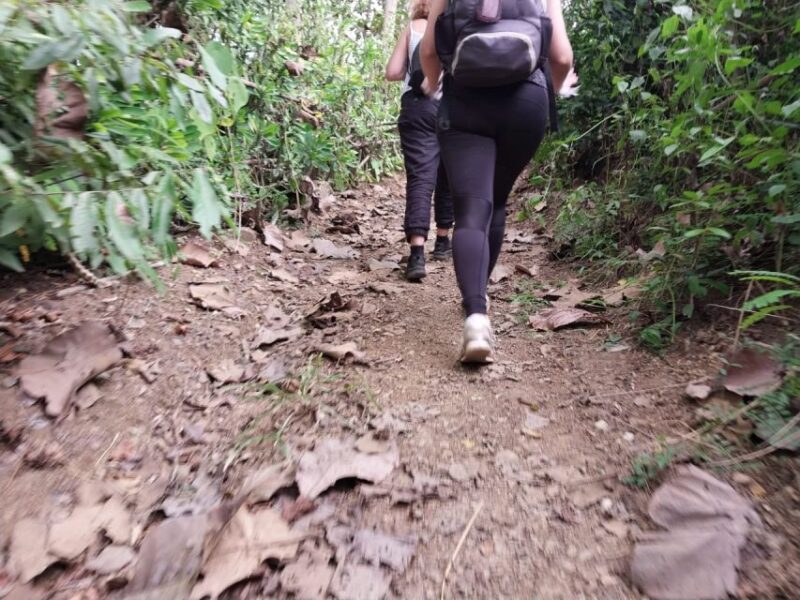 Luang Prabang: Hiking off the Beaten Track With Picnic Lunch - Departure and Itinerary