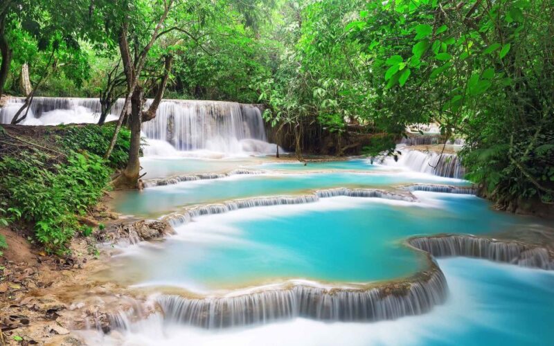 Luang Prabang: Local Village & Kuang Si Falls Private Tour - Bear Sanctuary Tour