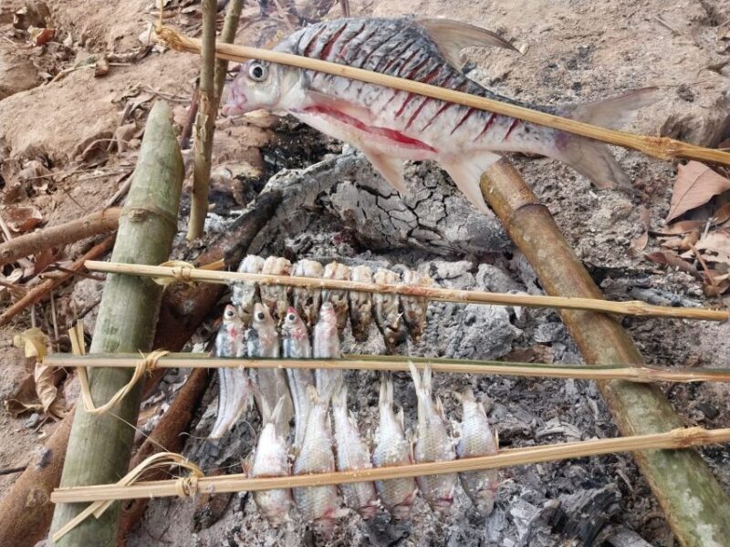 Luang Prabang: Mekong Fishing With a Local Fisherman & Lunch - Key Points