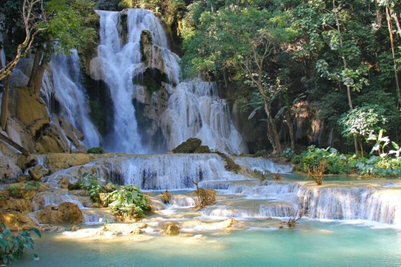 Luang Prabang: Organic Farm Experience & Hike to Kuang Si - Not Suitable for