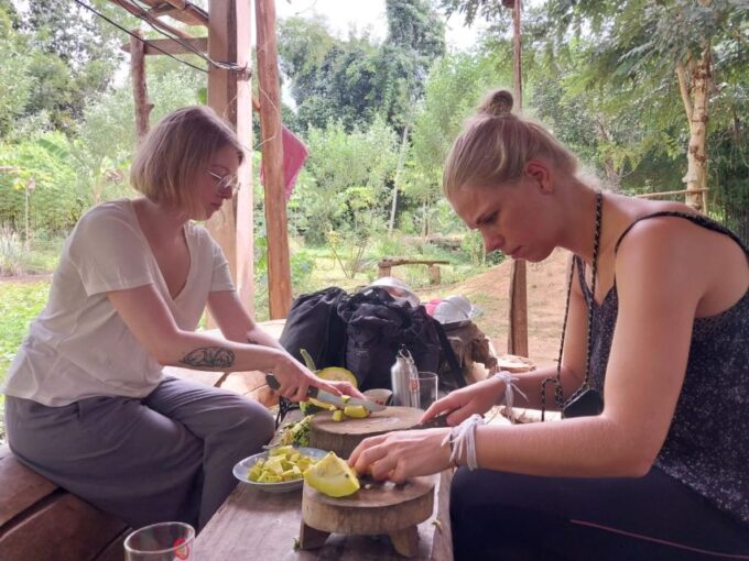 Luang Prabang: Organic Farm Experience & Hike to Kuang Si - Not Allowed