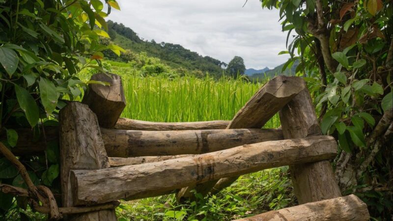 Luang Prabang: Village Trek & Nam Khan River Kayak Tour - Itinerary Details