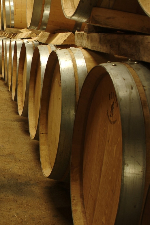 Luberon: Full-Day Wine Tour From Marseille - Highlights