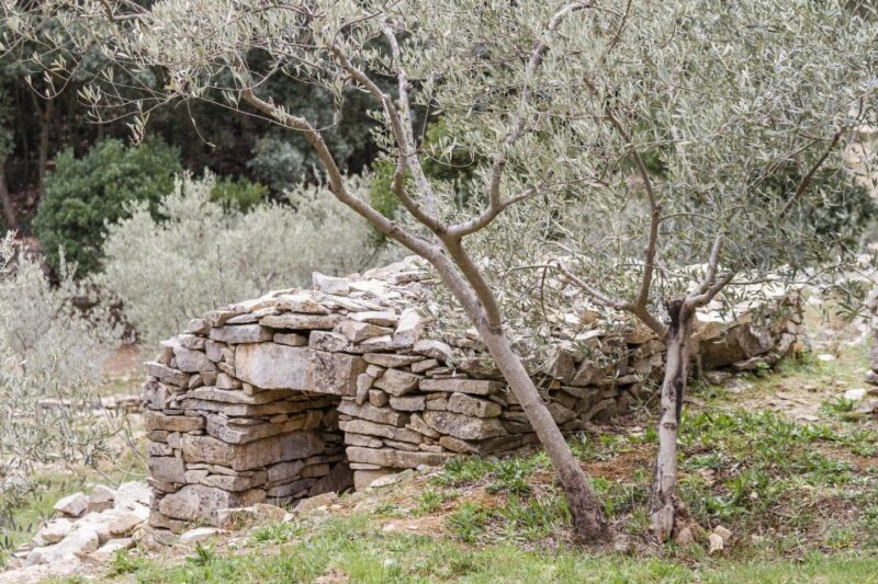 Luberon: Lagnes Bike Adventure - Pricing and Booking
