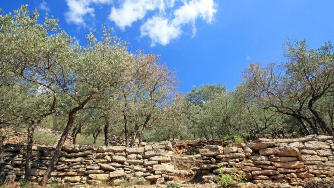 Luberon: Plague Wall Bike Ride - Return to Coustellet via Cycle Path