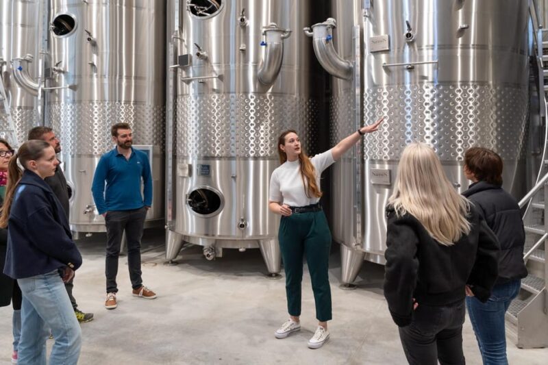 Luberon: Vine to Glass at Château De Sannes - Wine Tasting Experience