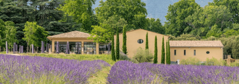 Luberon: Vineyard Tour and Wine Tasting - Tour Experience