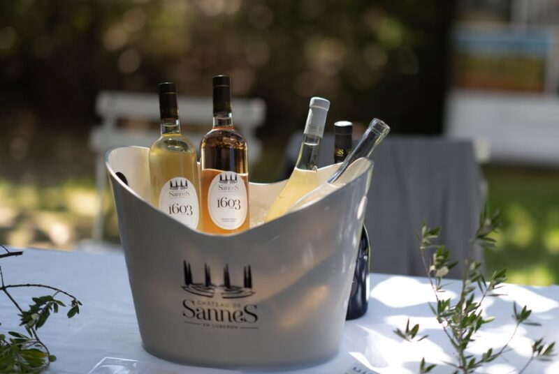 Luberon: Vineyard Tour and Wine Tasting - Eco-Friendly Vineyard Practices