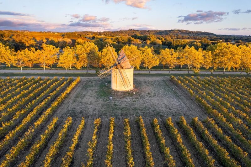 Luberon: Vineyard Tour and Wine Tasting - Exploring the Terroir and Vine Specifics