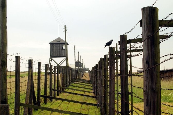 Lublin and Majdanek Small Group Tour From Warsaw With Lunch - Tour Inclusions and Highlights