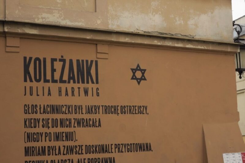 Lublin: Local Jewish Heritage Full-Day Guided Tour - Key Sites and Activities