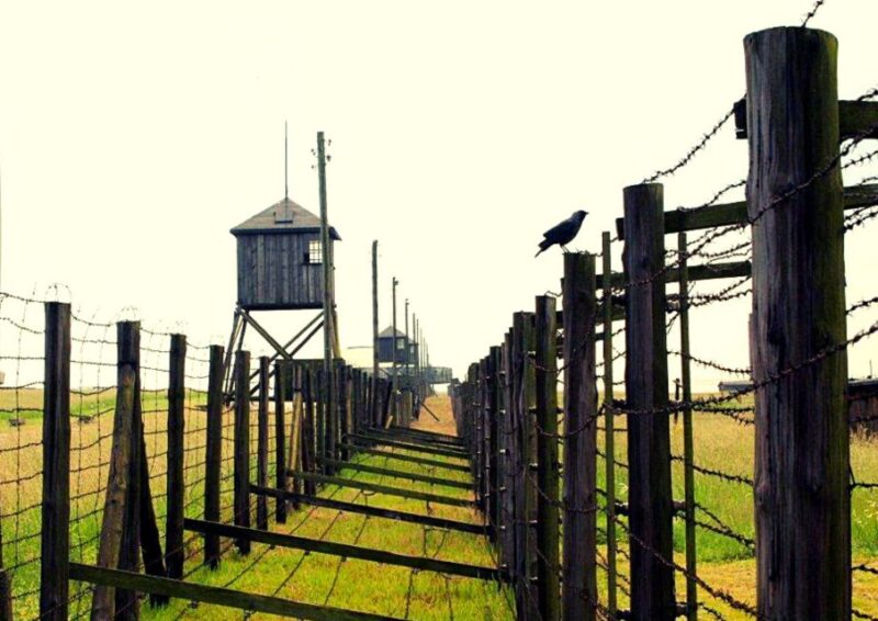 Lublin & Majdanek Small-Group Tour From Warsaw With Lunch - Cancellation Policy