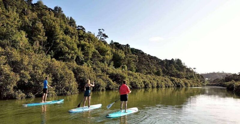 Lucas Creek Waterfall SuP Tour - Key Points