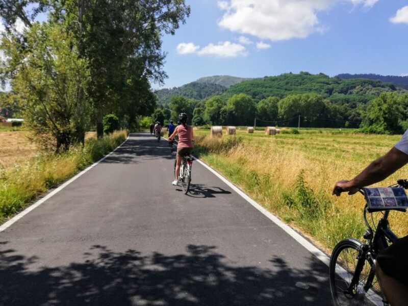 Lucca: Bicycle Rental With Picnic Lunch at a Vineyard - Key Points