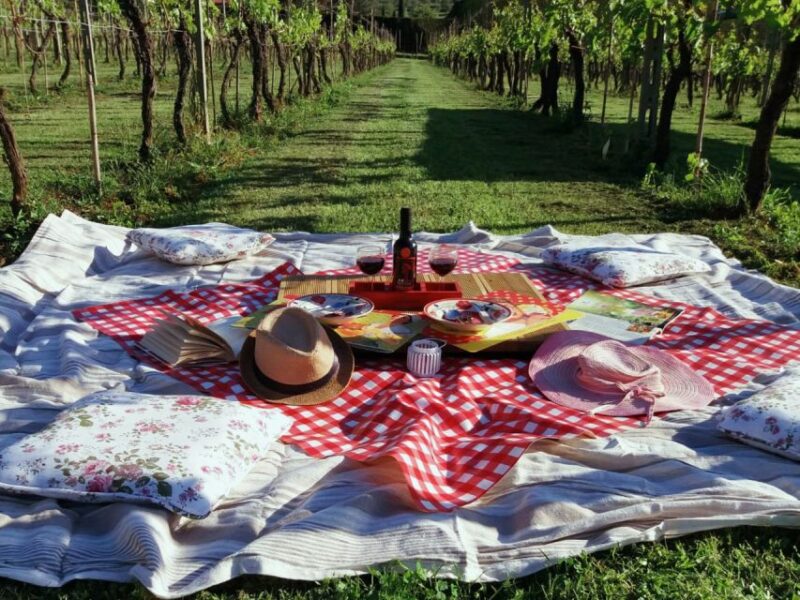 Lucca: Bicycle Rental With Picnic Lunch at a Vineyard - Itinerary Details