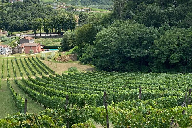 Lucca City Tour and Pisa Tower + Wine Tasting From La Spezia Port - Inclusions and Pickup Details