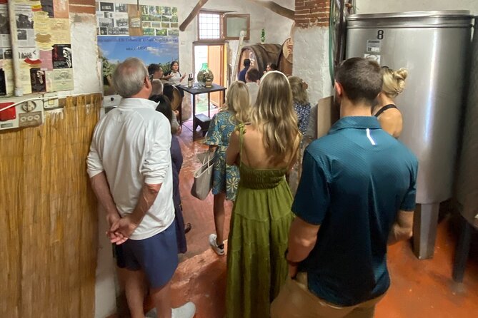 Lucca City Tour and Pisa Tower With Winetasting From Livorno Port - Traveler Reviews