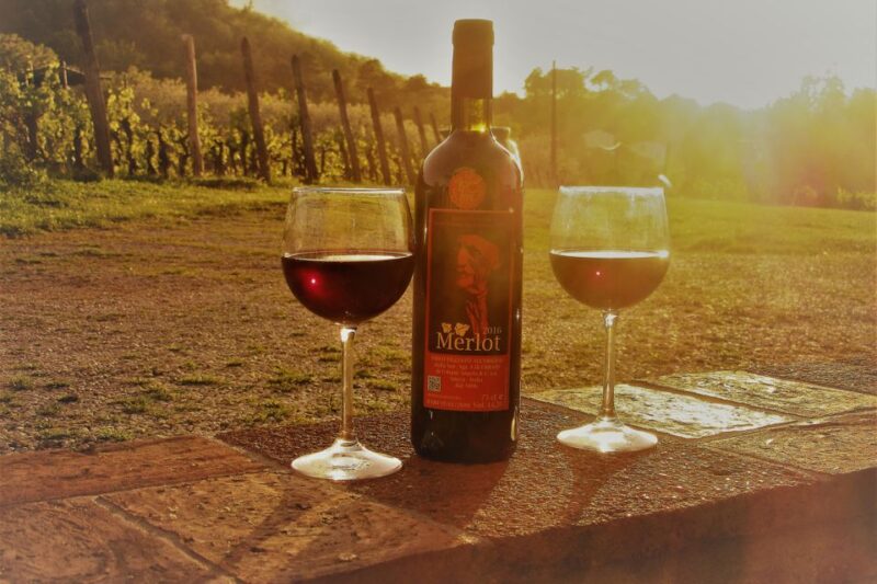 Lucca: Guided E-Bike and Wine Tour - Key Points