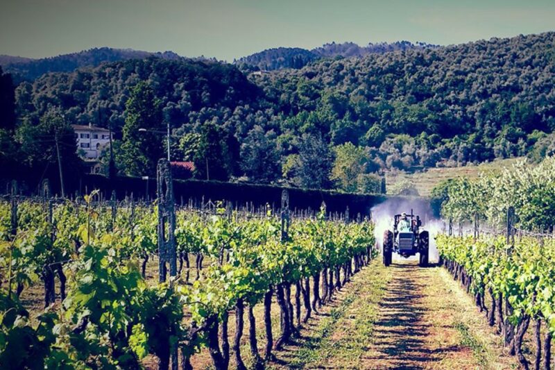 Lucca: Guided E-Bike and Wine Tour - Experience Details