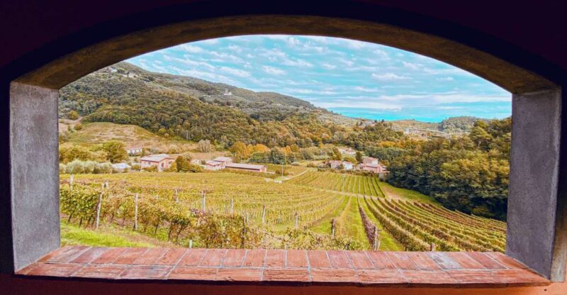 Lucca: Guided Winery Tour With Wine Tasting - Panoramic Views From the Terrace
