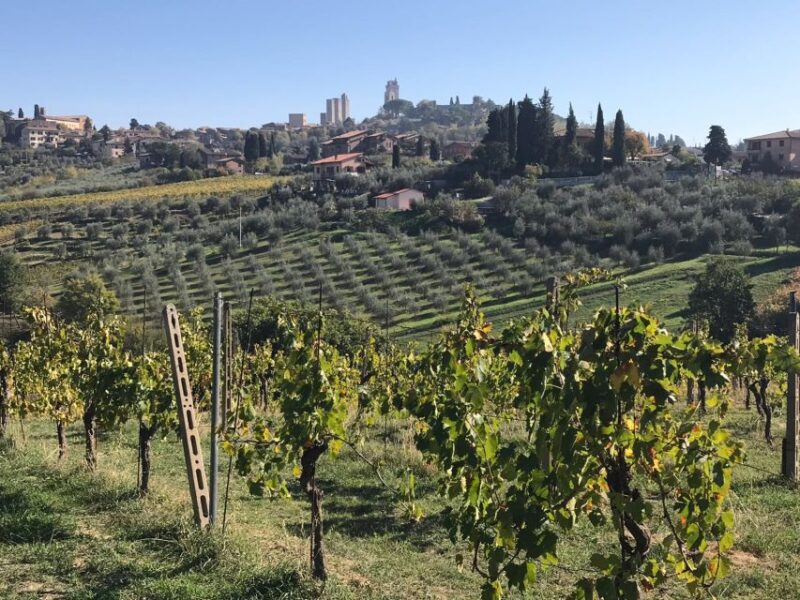 Lucca Private Day Tour to Chianti and San Gimignano - Chianti Market Towns and Vineyards