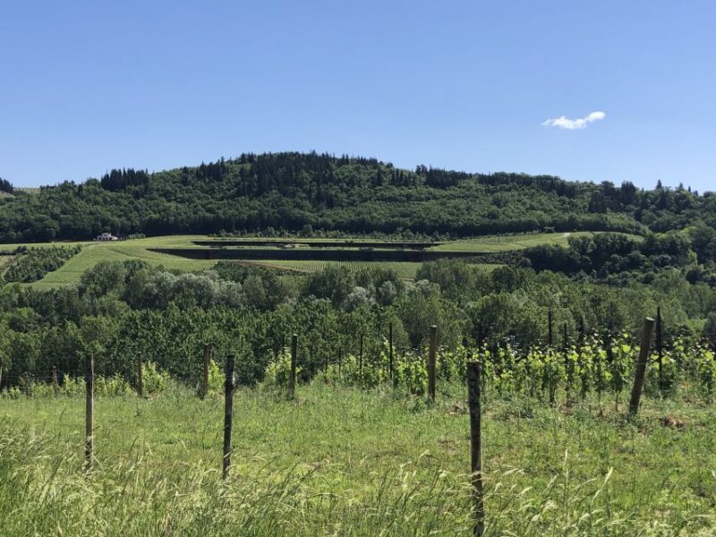 Lucca Private Day Tour to Chianti and San Gimignano - Tuscan Lunch in Scenic Setting