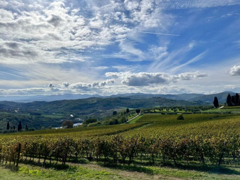 Lucca Private Day Tour to Chianti and San Gimignano - Transportation and Comfort