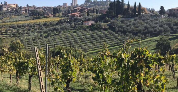 Lucca Private Day Tour to Chianti and San Gimignano - Frequently Asked Questions