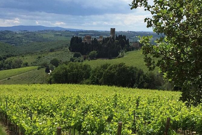 Lucca Private Day Tour to Chianti & San Gimignano - Key Points