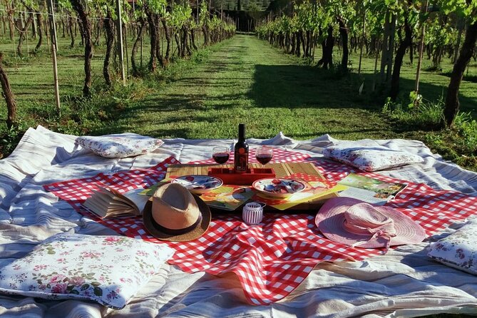 Lucca: Self-Guided Bike Tour + Picnic in the Vineyards - About Your Stay