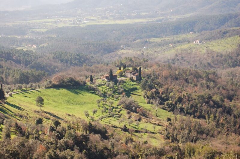 Lucca: Self-Guided Bike Tour to the Wine Roads - Tour Overview and Highlights