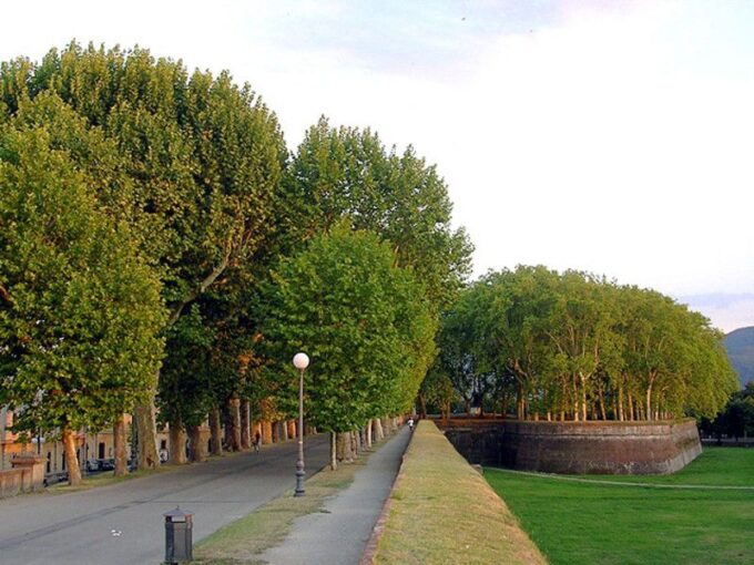 Lucca Sightseeing Tour by E-Bike or City Bike - Feedback From Travelers