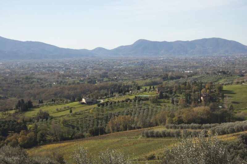 Lucca: Trekking Bike Rental - Key Points