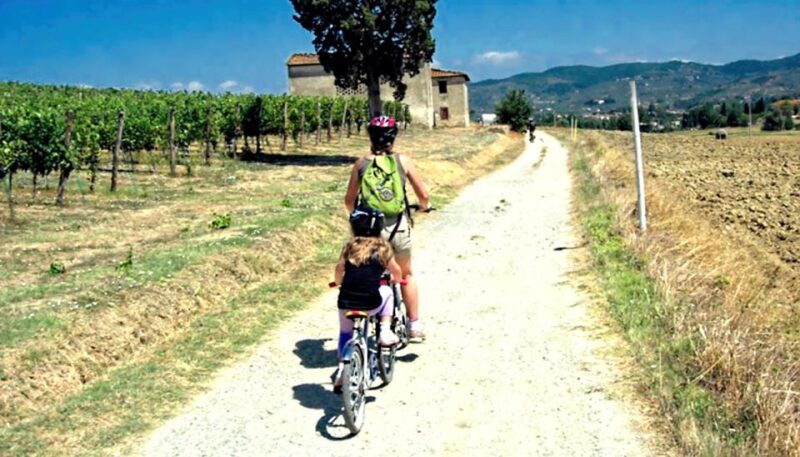 Lucca: Trekking Bike Rental - Rental Pricing and Cancellation Policy