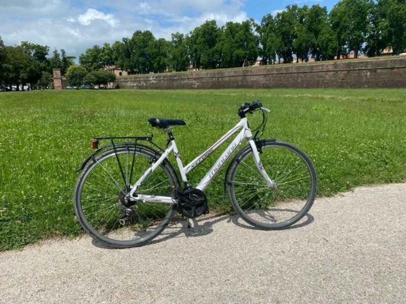 Lucca: Trekking Bike Rental - Exploring Luccas Scenic Routes